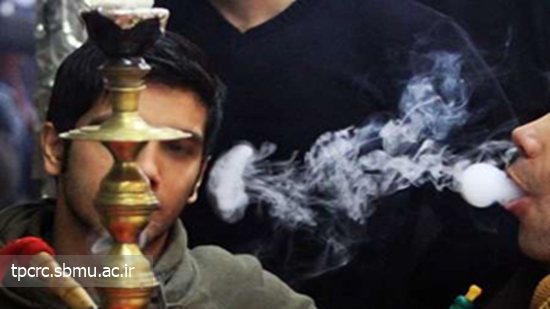 قلیان، بروز سرطان تا قاچاق چوب‌های بلوط 